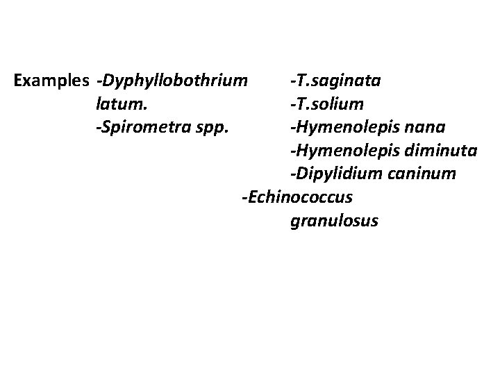 Examples -Dyphyllobothrium latum. -Spirometra spp. -T. saginata -T. solium -Hymenolepis nana -Hymenolepis diminuta -Dipylidium