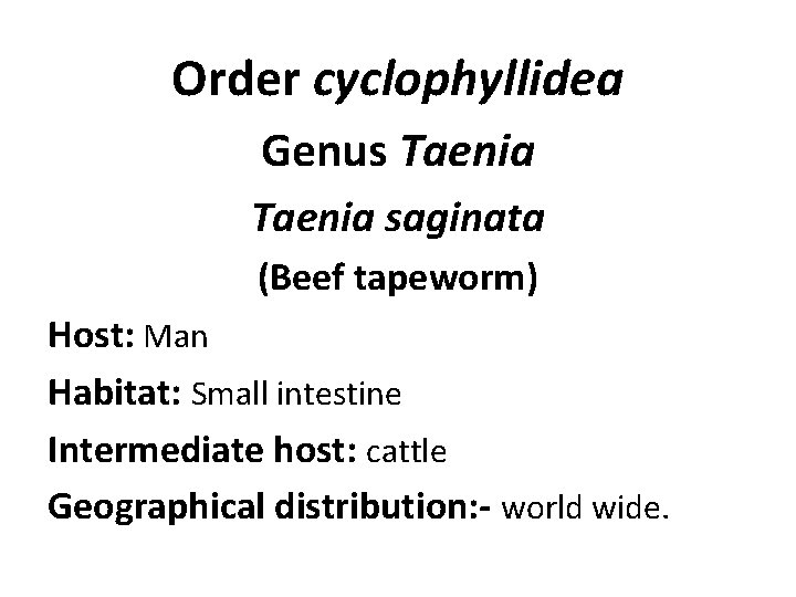 Order cyclophyllidea Genus Taenia saginata (Beef tapeworm) Host: Man Habitat: Small intestine Intermediate host: