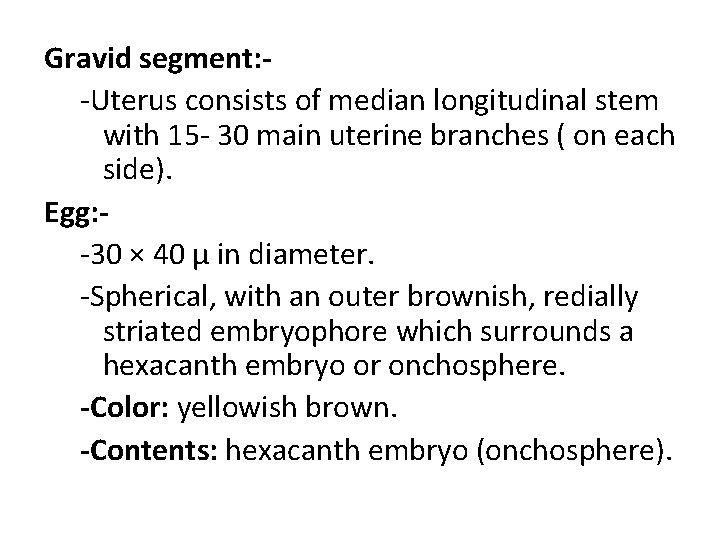 Gravid segment: -Uterus consists of median longitudinal stem with 15 - 30 main uterine