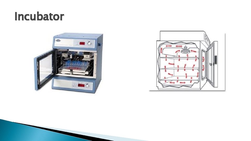 Incubator 