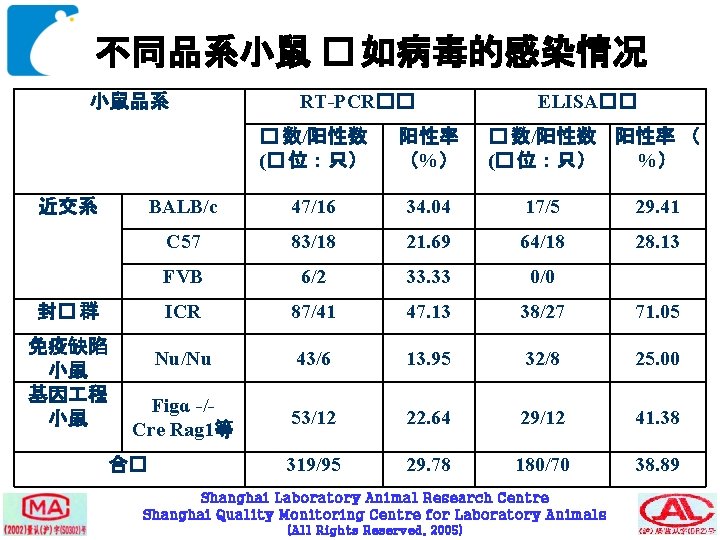 不同品系小鼠 � 如病毒的感染情况 小鼠品系 ELISA�� � 数/阳性数 (� 位：只） 阳性率 （%） BALB/c 47/16 34.