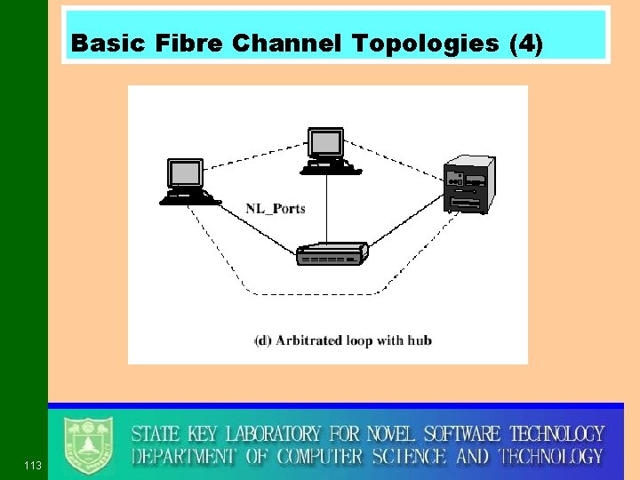 Basic Fibre Channel Topologies (4) 113 