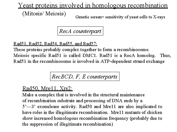 Yeast proteins involved in homologous recombination (Mitosis/ Meiosis) Genetic screen= sensitivity of yeast cells