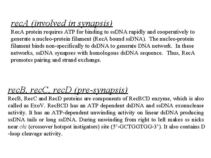 rec. A (involved in synapsis) Rec. A protein requires ATP for binding to ss.