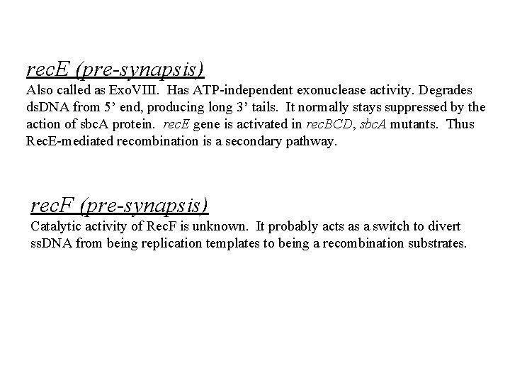 rec. E (pre-synapsis) Also called as Exo. VIII. Has ATP-independent exonuclease activity. Degrades ds.