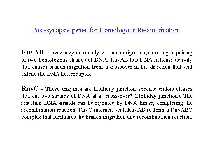 Post-synapsis genes for Homologous Recombination Ruv. AB - These enzymes catalyze branch migration, resulting