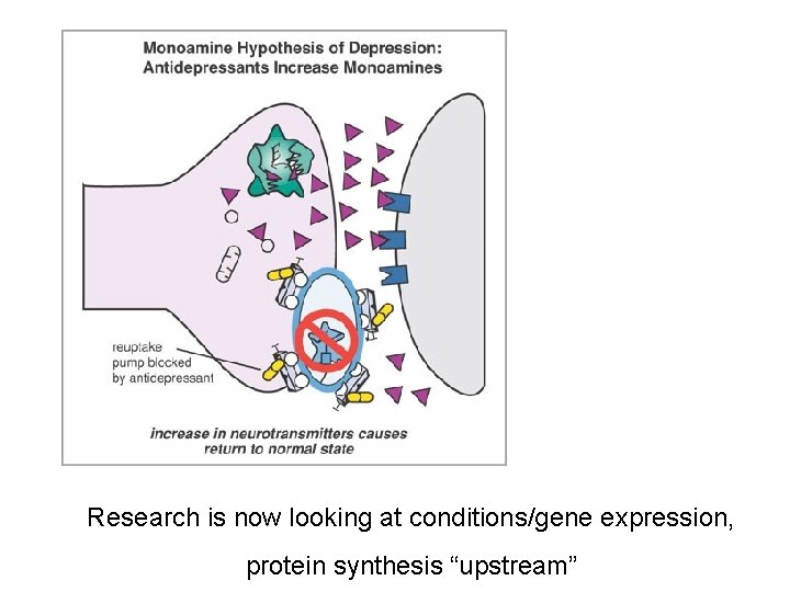 Research is now looking at conditions/gene expression, protein synthesis “upstream” 