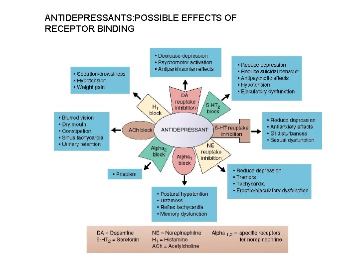 ANTIDEPRESSANTS: POSSIBLE EFFECTS OF RECEPTOR BINDING 