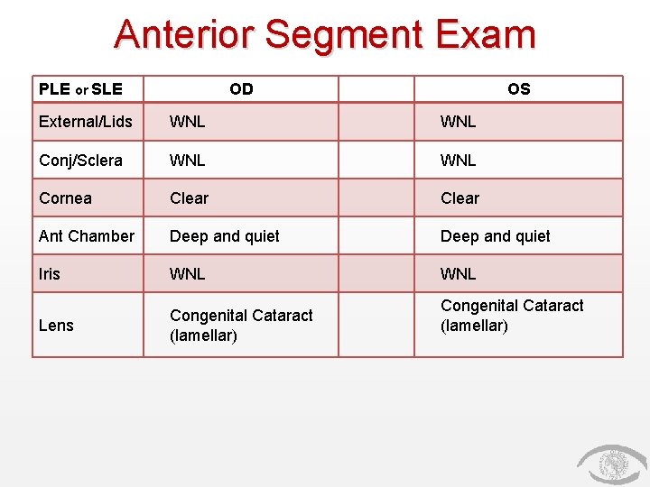 Anterior Segment Exam PLE or SLE OD OS External/Lids WNL Conj/Sclera WNL Cornea Clear