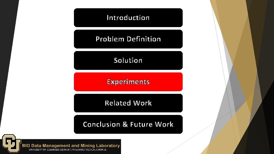 Introduction Problem Definition Solution Experiments Related Work Conclusion & Future Work 