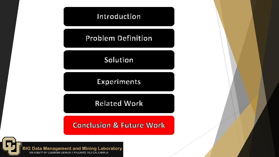 Introduction Problem Definition Solution Experiments Related Work Conclusion & Future Work 