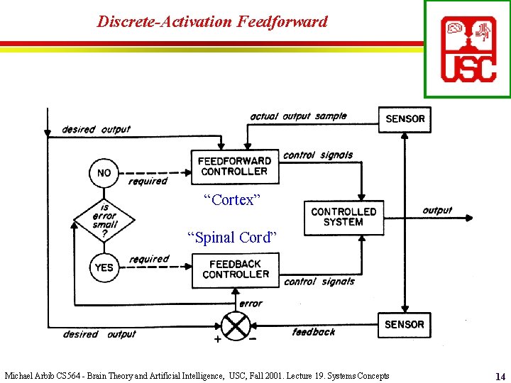 Discrete-Activation Feedforward “Cortex” “Spinal Cord” Michael Arbib CS 564 - Brain Theory and Artificial