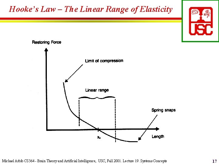 Hooke’s Law – The Linear Range of Elasticity Michael Arbib CS 564 - Brain