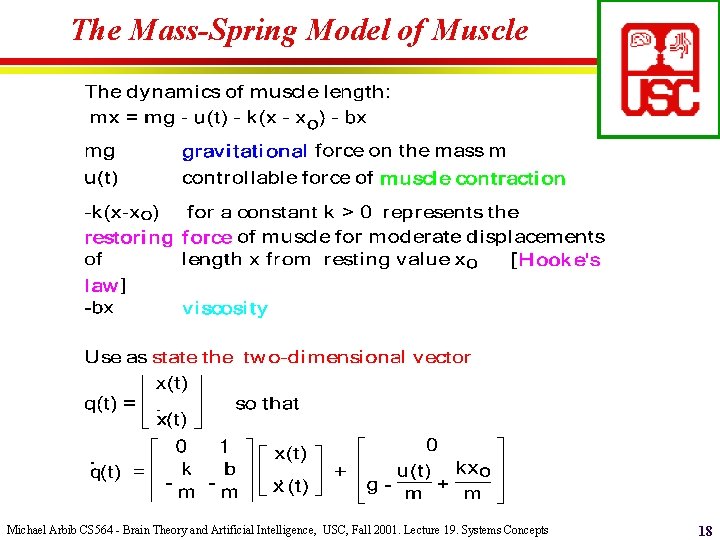 The Mass-Spring Model of Muscle Michael Arbib CS 564 - Brain Theory and Artificial