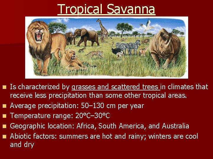 Tropical Savanna n n n Is characterized by grasses and scattered trees in climates
