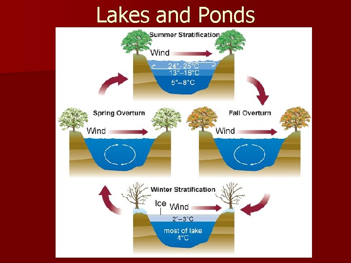 Lakes and Ponds 