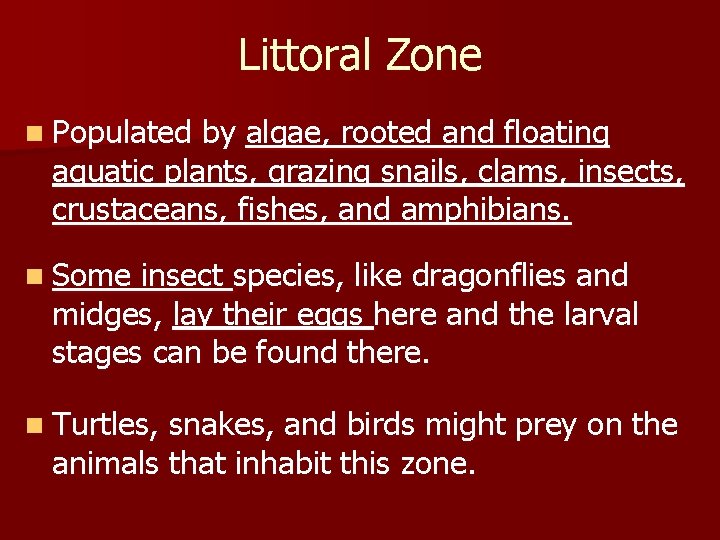 Littoral Zone n Populated by algae, rooted and floating aquatic plants, grazing snails, clams,