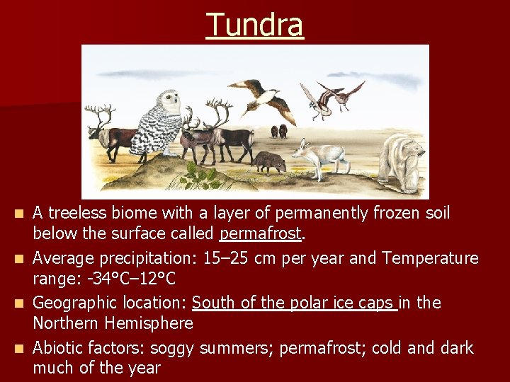 Tundra A treeless biome with a layer of permanently frozen soil below the surface