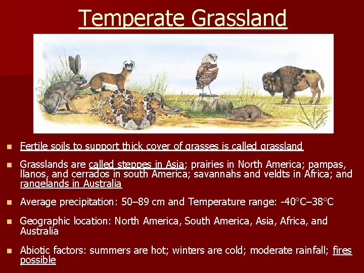 Temperate Grassland n Fertile soils to support thick cover of grasses is called grassland