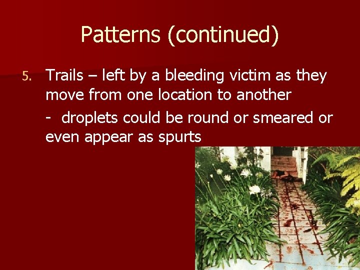 Patterns (continued) 5. Trails – left by a bleeding victim as they move from