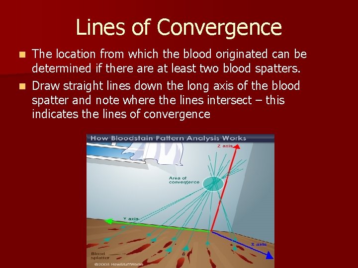 Lines of Convergence The location from which the blood originated can be determined if