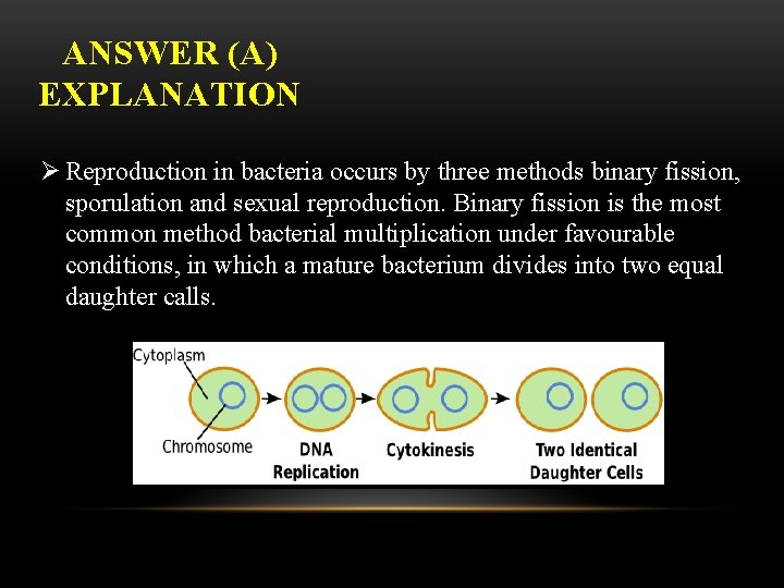 ANSWER (A) EXPLANATION Ø Reproduction in bacteria occurs by three methods binary fission, sporulation