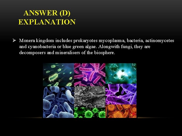 ANSWER (D) EXPLANATION Ø Monera kingdom includes prokaryotes mycoplasma, bacteria, actinomycetes and cyanobacteria or