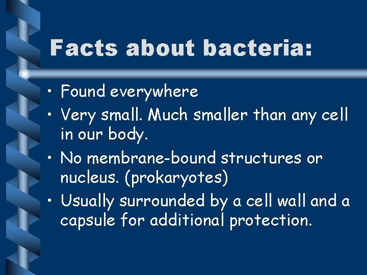 Facts about bacteria: • Found everywhere • Very small. Much smaller than any cell