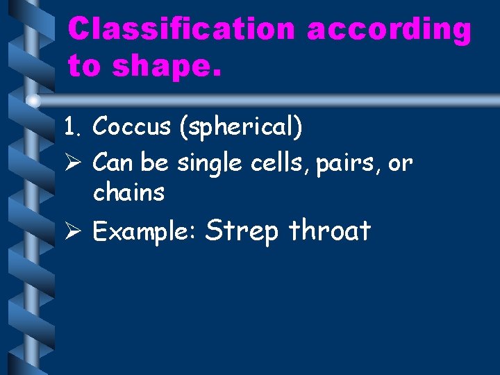 Classification according to shape. 1. Coccus (spherical) Ø Can be single cells, pairs, or