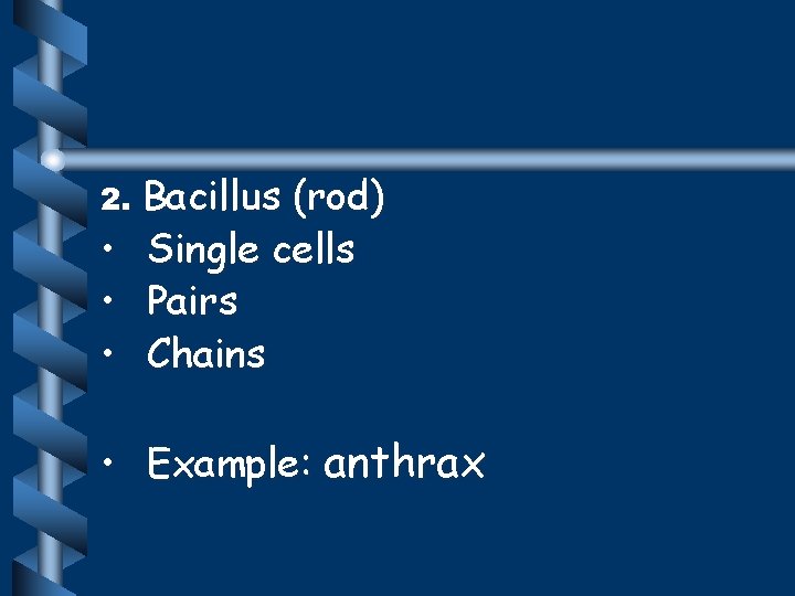 2. Bacillus (rod) • Single cells • Pairs • Chains • Example: anthrax 