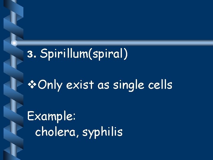 3. Spirillum(spiral) v. Only exist as single cells Example: cholera, syphilis 