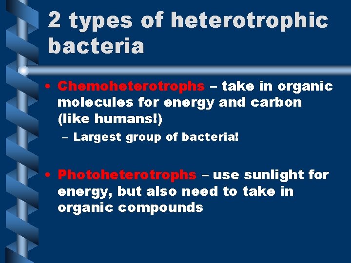 2 types of heterotrophic bacteria • Chemoheterotrophs – take in organic molecules for energy