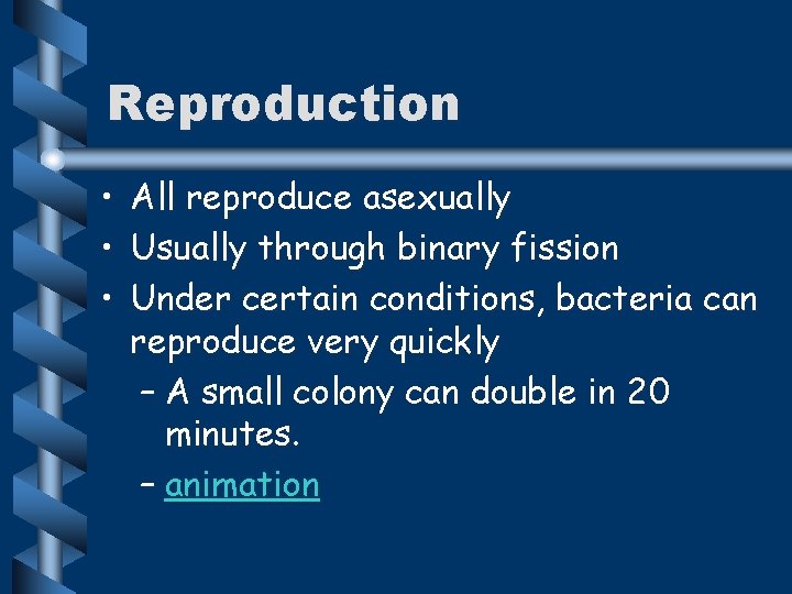 Reproduction • All reproduce asexually • Usually through binary fission • Under certain conditions,