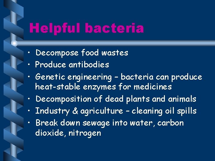 Helpful bacteria • • • Decompose food wastes Produce antibodies Genetic engineering – bacteria