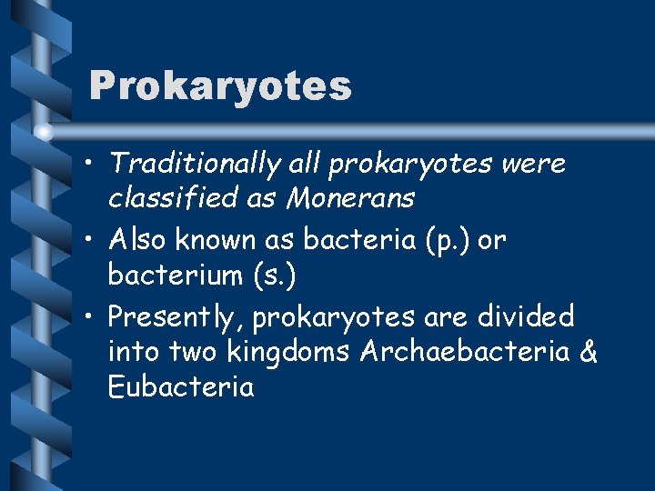 Prokaryotes • Traditionally all prokaryotes were classified as Monerans • Also known as bacteria