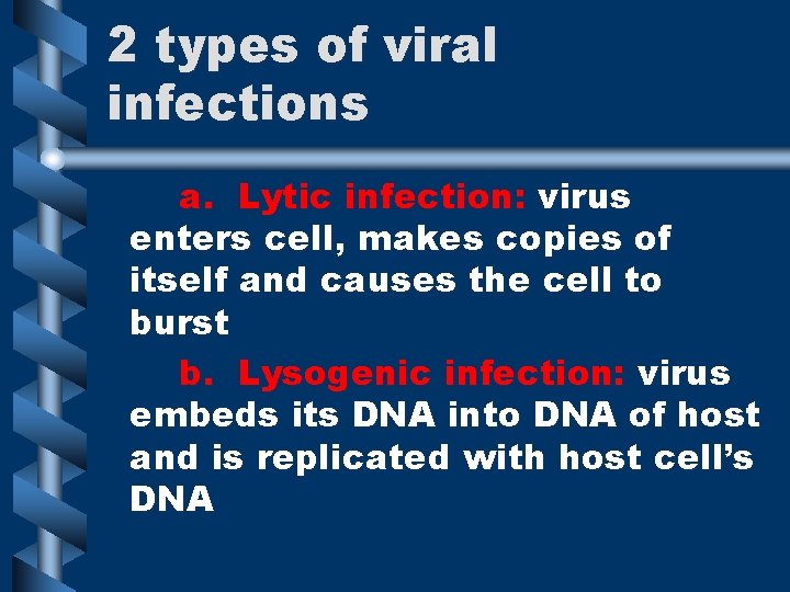 2 types of viral infections a. Lytic infection: virus enters cell, makes copies of