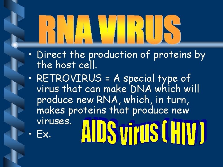  • Direct the production of proteins by the host cell. • RETROVIRUS =