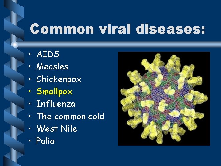 Common viral diseases: • • AIDS Measles Chickenpox Smallpox Influenza The common cold West