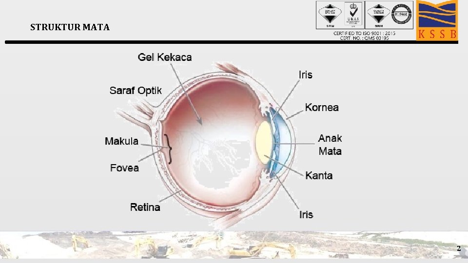 STRUKTUR MATA 2 