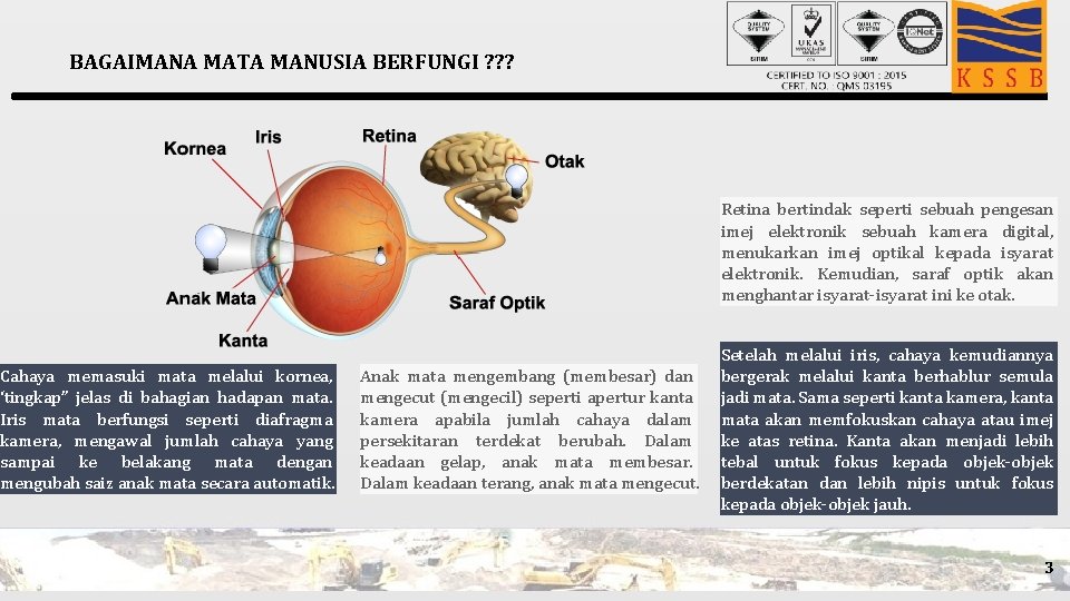 BAGAIMANA MATA MANUSIA BERFUNGI ? ? ? Cahaya memasuki mata melalui kornea, ‘tingkap” jelas