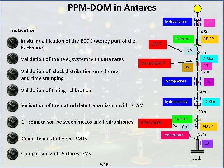 PPM-DOM in Antares hydrophones CT motivation 14. 5 m In situ qualification of the