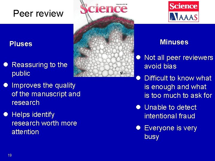 Peer review Pluses l Reassuring to the public l Improves the quality of the