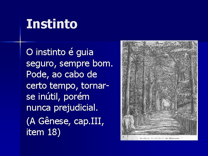 Instinto O instinto é guia seguro, sempre bom. Pode, ao cabo de certo tempo,