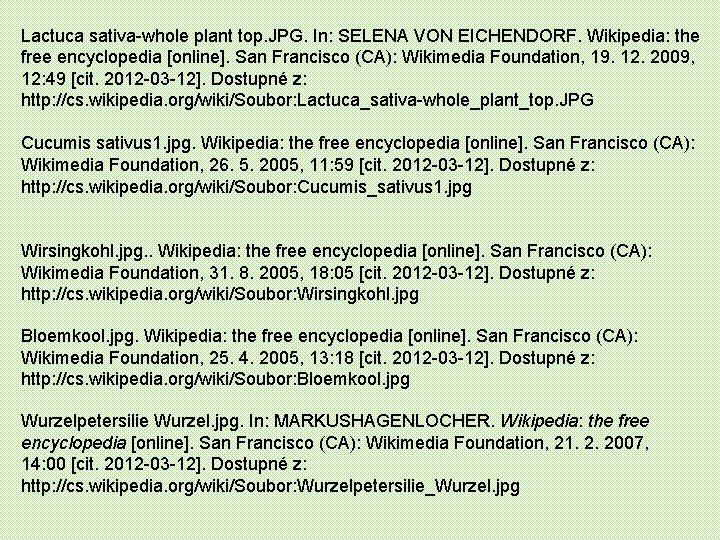 Lactuca sativa-whole plant top. JPG. In: SELENA VON EICHENDORF. Wikipedia: the free encyclopedia [online].
