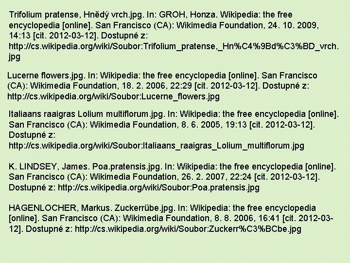 Trifolium pratense, Hnědý vrch. jpg. In: GROH, Honza. Wikipedia: the free encyclopedia [online]. San