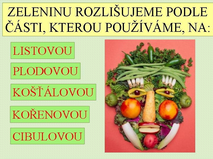 ZELENINU ROZLIŠUJEME PODLE ČÁSTI, KTEROU POUŽÍVÁME, NA: LISTOVOU PLODOVOU KOŠŤÁLOVOU KOŘENOVOU CIBULOVOU 