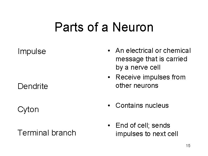 Parts of a Neuron Impulse Dendrite Cyton Terminal branch • An electrical or chemical