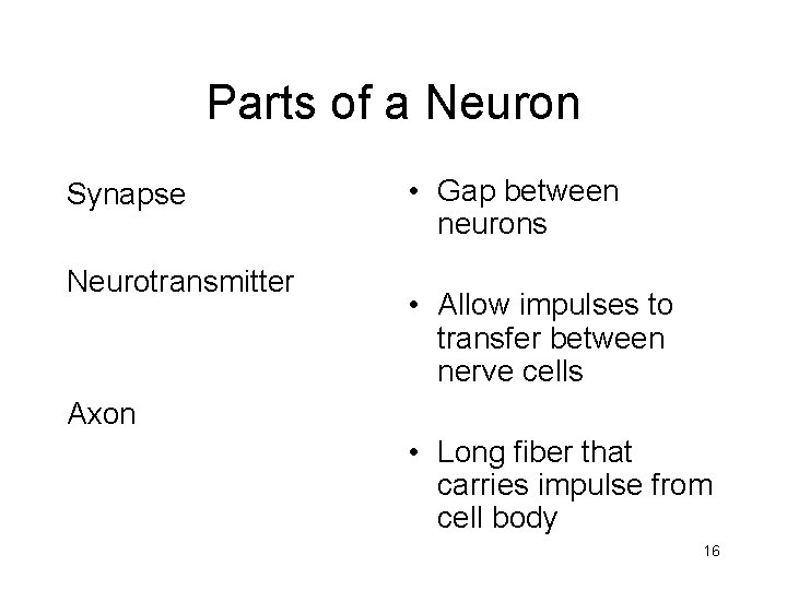 Parts of a Neuron Synapse Neurotransmitter • Gap between neurons • Allow impulses to