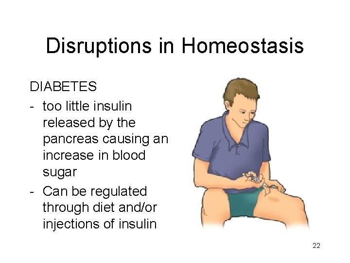 Disruptions in Homeostasis DIABETES - too little insulin released by the pancreas causing an