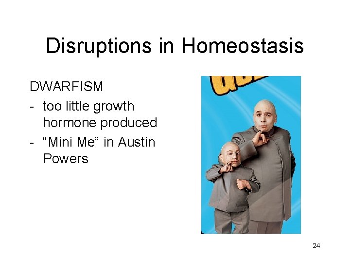 Disruptions in Homeostasis DWARFISM - too little growth hormone produced - “Mini Me” in